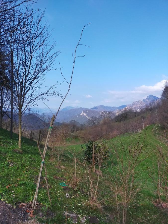Chalet Simonetta - Locanda Da Tullio Capovalle Ngoại thất bức ảnh